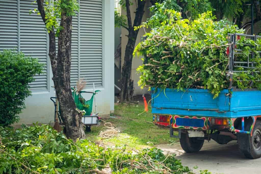 a blue truck filled with tree debris sitting next to a cut tree outside a house<br />
