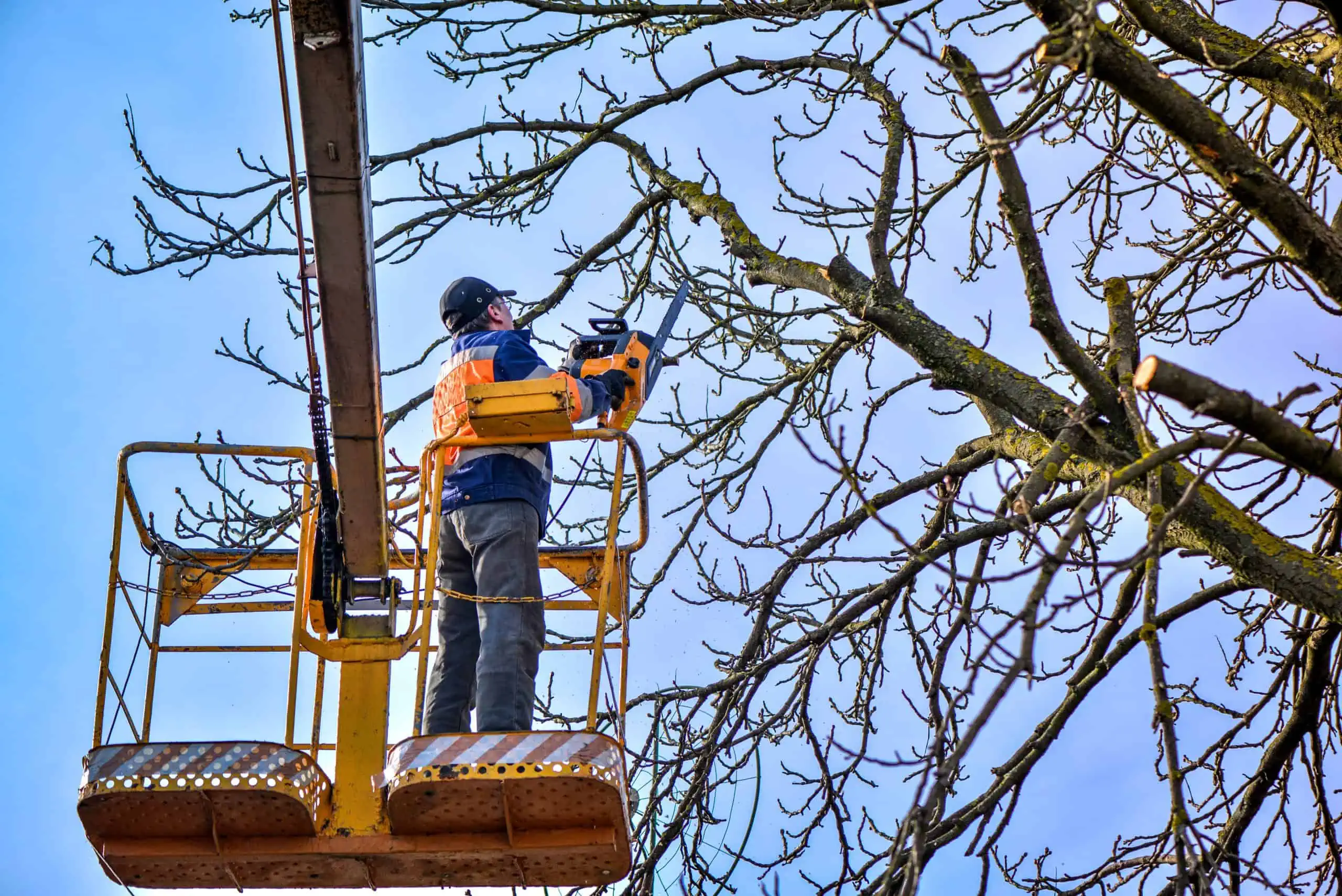 a person in an orange mechanical basket trimming high tree branches